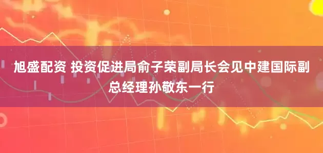 旭盛配资 投资促进局俞子荣副局长会见中建国际副总经理孙敬东一行