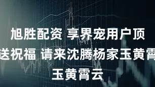 旭胜配资 享界宠用户顶流送祝福 请来沈腾杨家玉黄霄云