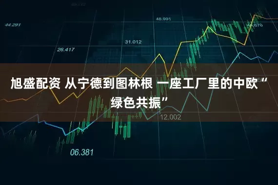 旭盛配资 从宁德到图林根 一座工厂里的中欧“绿色共振”