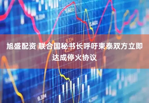旭盛配资 联合国秘书长呼吁柬泰双方立即达成停火协议
