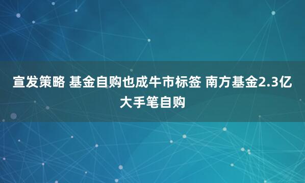 宣发策略 基金自购也成牛市标签 南方基金2.3亿大手笔自购